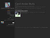 Canil Canil Ander bulls